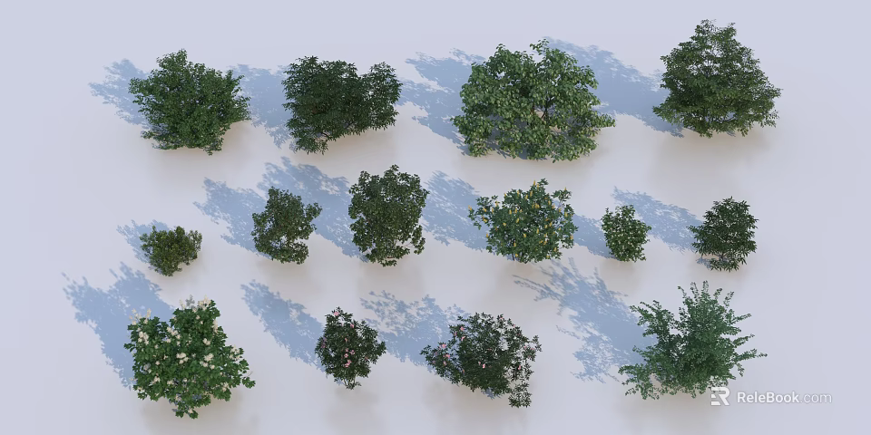 Diverse Shrubs Collection with Various Sizes Shapes and Foliage Types for Gardens 3d model 