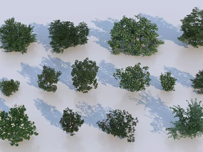 Diverse Shrubs Collection with Various Sizes Shapes and Foliage Types for Gardens 3d model