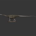 Detailed Dinosaur Model With Long Neck Gray Body And Green Display Base