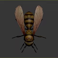 Detailed 3D Wasp Model With Yellow Black Stripes Red Eyes And Transparent Wings