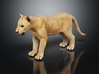 Modern Lion Little Lion 3d model