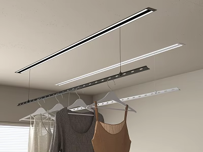 Ceiling Mounted Hangers With Track System And LED Light Illuminating Clothes In Modern Indoor Space 3d model