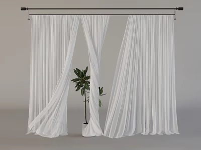 White Sheer Lightweight Curtains Hanging On Black Rod With Green Plant In White Pot 3d model