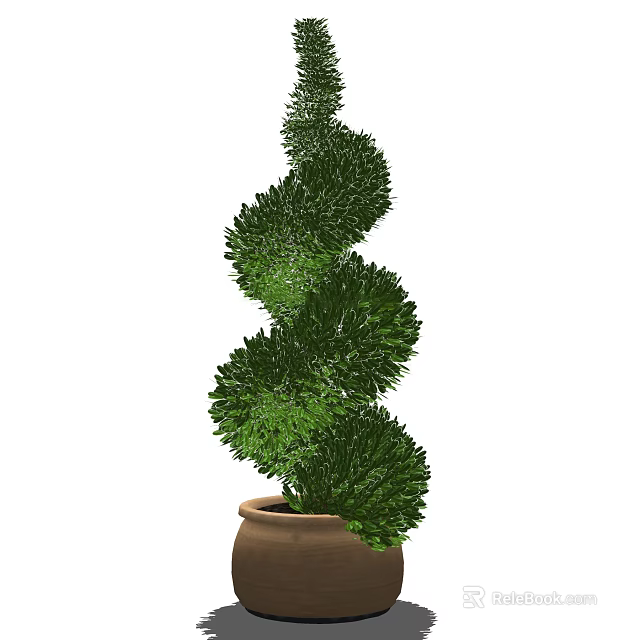 Spiral Shaped Green Bonsai Plant With Terracotta Pot For Home Decoration 3d model 