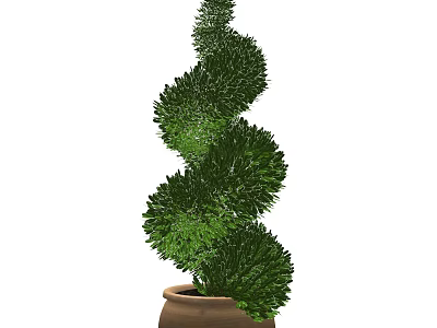 Spiral Shaped Green Bonsai Plant With Terracotta Pot For Home Decoration 3d model