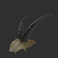Realistic Detailed Antelope Skull With Curved Horns Isolated On Dark Background