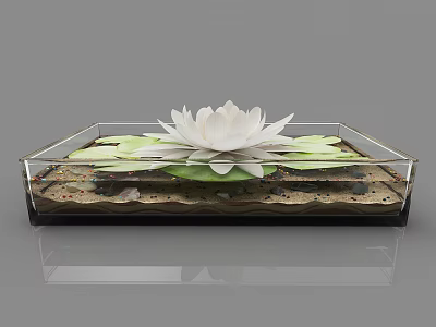 Transparent Glass Bonsai Planter With White Lotus Flower Green Leaves Sand And Pebbles 3d model