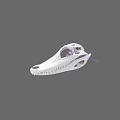 White Reptile Skull Model Featuring Purple Internal Structure On Gray Background