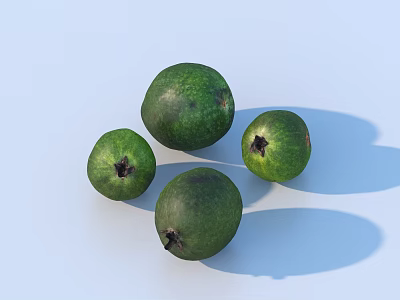 Group of Fresh Green Guavas With Textured Skin On Light Blue Background 3d model