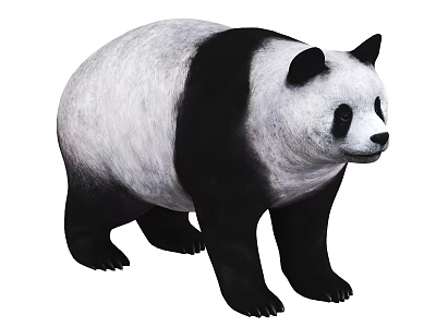 Realistic Black And White Panda Standing In Natural Illustration Pose 3d model