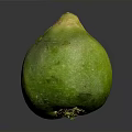 Fresh Whole Green Coconut Tropical Fruit With Yellow Top On Gray Background