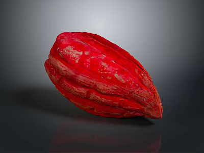 Fresh Ripe Red Cocoa Pod With Textured Skin On Gray Reflective Surface 3d model
