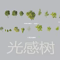 Arbor Collection with Various Forms Different Sizes and Light Effect for Visual 3d model