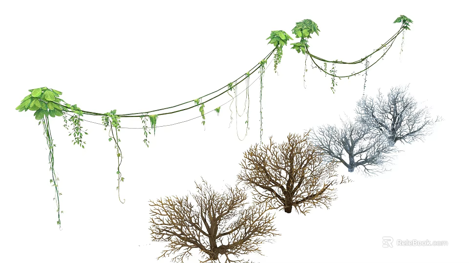 Cartoon Scene Featuring Hanging Green Vines And Different Tree Shapes 3d model 