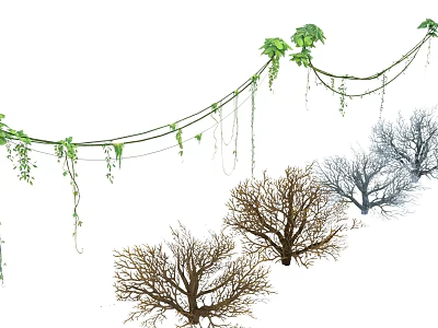 Cartoon Scene Featuring Hanging Green Vines And Different Tree Shapes 3d model