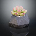 Geometric Gray Planter with Pink Green Succulent Plant on Black Glossy Surface with White Pebbles