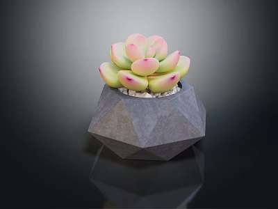 Geometric Gray Planter with Pink Green Succulent Plant on Black Glossy Surface with White Pebbles 3d model