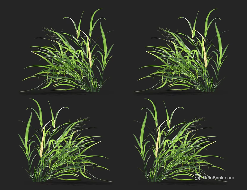 Vibrant Green Grass with Long Leaves and Yellow Stems on Black Background 3d model 