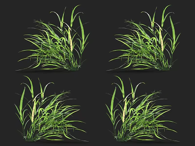 Vibrant Green Grass with Long Leaves and Yellow Stems on Black Background 3d model