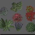 Various Colorful Garden Bushes with Different Shapes and Foliage Types