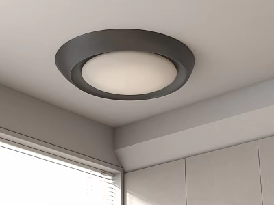 Modern Round Ceiling Light With Black Frame And White Shade In Contemporary Room Interior Design 3d model