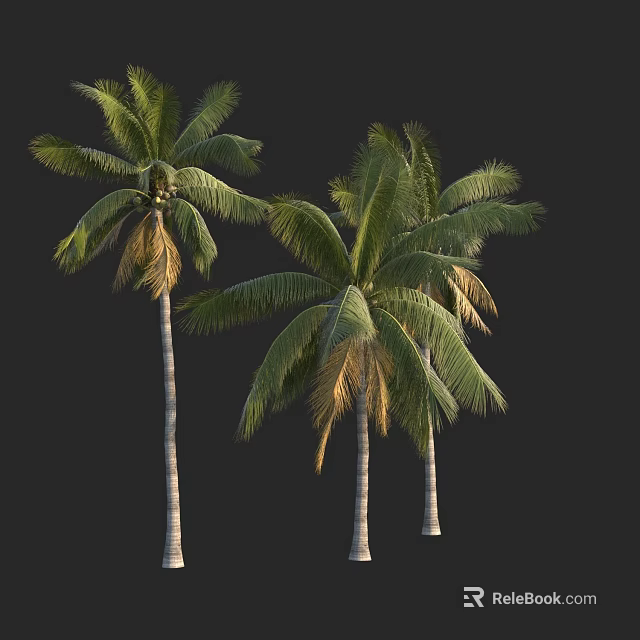 Three Palm Trees With Green And Yellow Fronds And White Trunks 3d model 