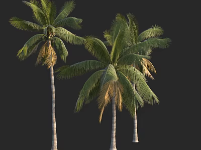 Three Palm Trees With Green And Yellow Fronds And White Trunks 3d model