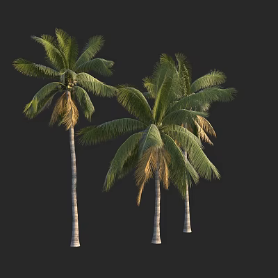 Three Palm Trees With Green And Yellow Fronds And White Trunks 3d model