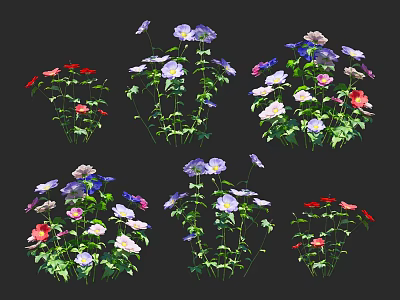 Colorful Flower Clusters With Red Purple White Blooms Against Black Background 3d model