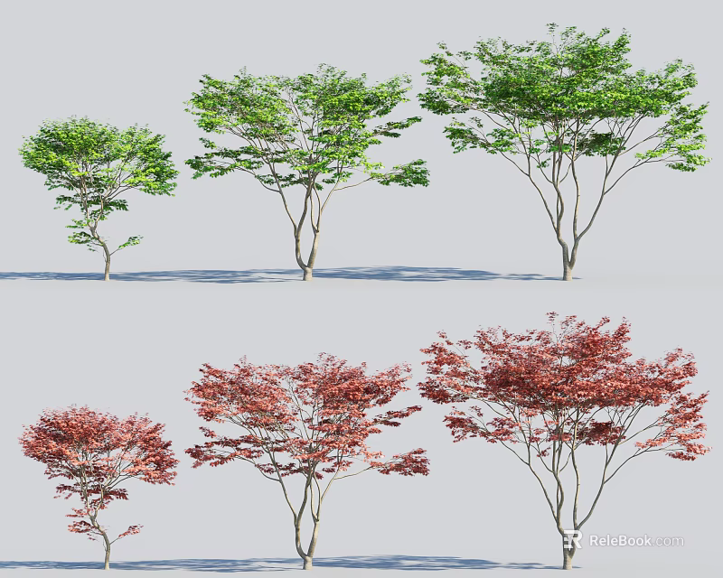 Varied Arbor Trees Displaying Green And Red Foliage In Different Sizes 3d model 