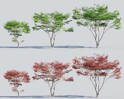 Varied Arbor Trees Displaying Green And Red Foliage In Different Sizes 3d model