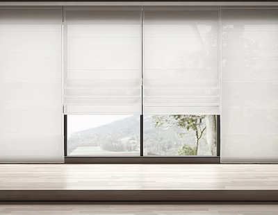 White Roman Blinds Covering Window With Natural Mountain And Tree View 3d model