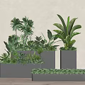 Modern Gray Rectangular Flower Planters With Various Green Plants And Lush Foliage 3d model