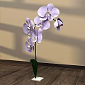 Floral Display Featuring Purple Orchids in Green Vase with White Base on Wooden Floor
