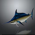 Striking Blue And Yellow Striped Sailfish With Long Bill And Sail Like Dorsal Fin