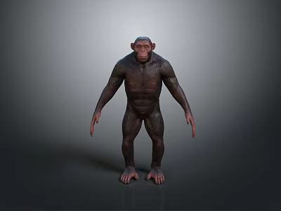 orangutan ape chimpanzee gorilla gibbon land animal wildlife large animal 3d model