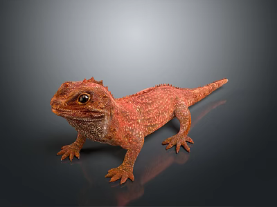 Vibrant Red Lizard With Spiky Head And Shiny Scales Standing On Dark Background 3d model