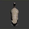 Mouse Wizard Mouse Warlock Cartoon Mouse Animation Mouse Animation Mouse Cartoon Character Cartoon Animal 3d model
