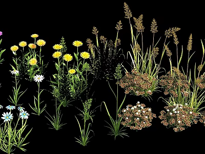 Colorful Garden Flowers And Herbs With Yellow Daisies White Flowers And Purple Blooms 3d model