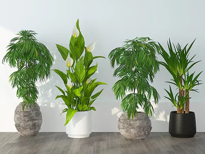 modern potted plant 3d model