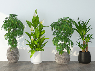 modern potted plant 3d model