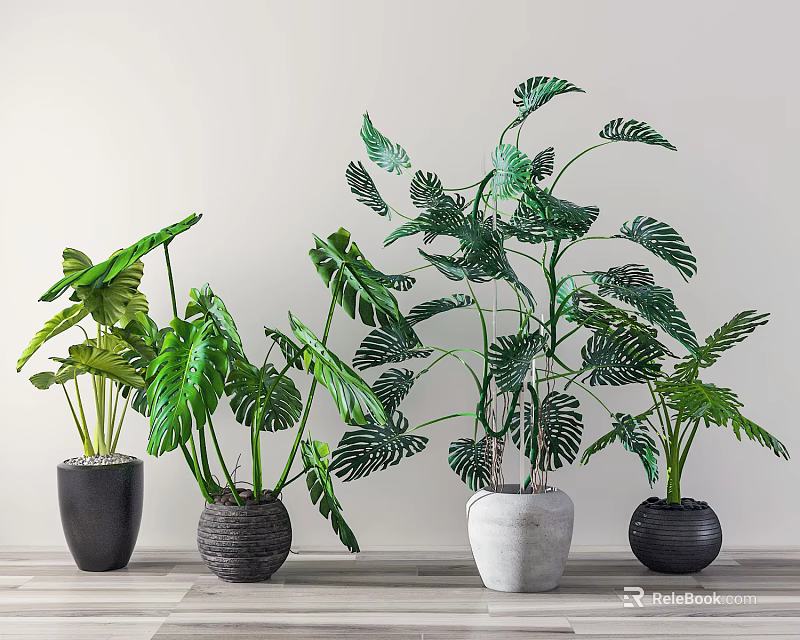 Stylish Indoor Potted Plants With Tropical Leaves In Various Colored Pots 3d model 