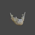 Animal Jawbone Skeleton With Sharp Teeth And Bone Structure Details