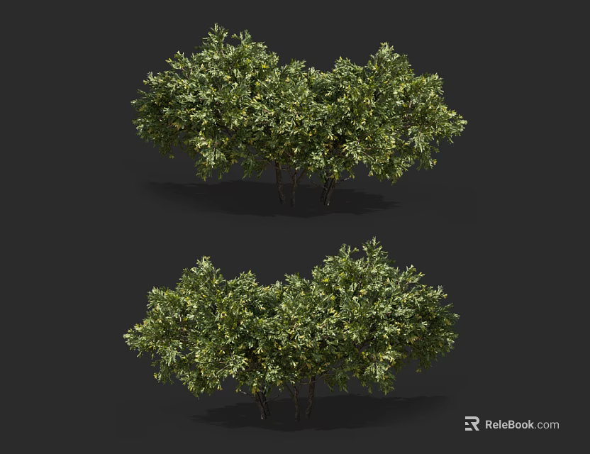 Lush Green Evergreen Shrubs With Dense Foliage For Garden Landscaping 3d model 