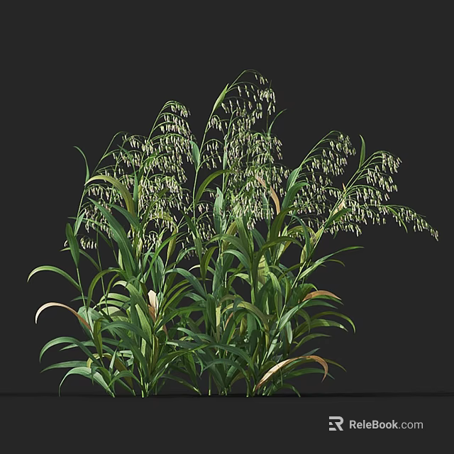 Lush Green Plants With Long Leaves And White Flowers In Garden 3d model 