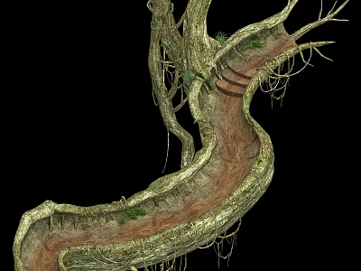 Natural Wood And Stone Winding Path Design With Tree Roots Vines And Steps 3d model