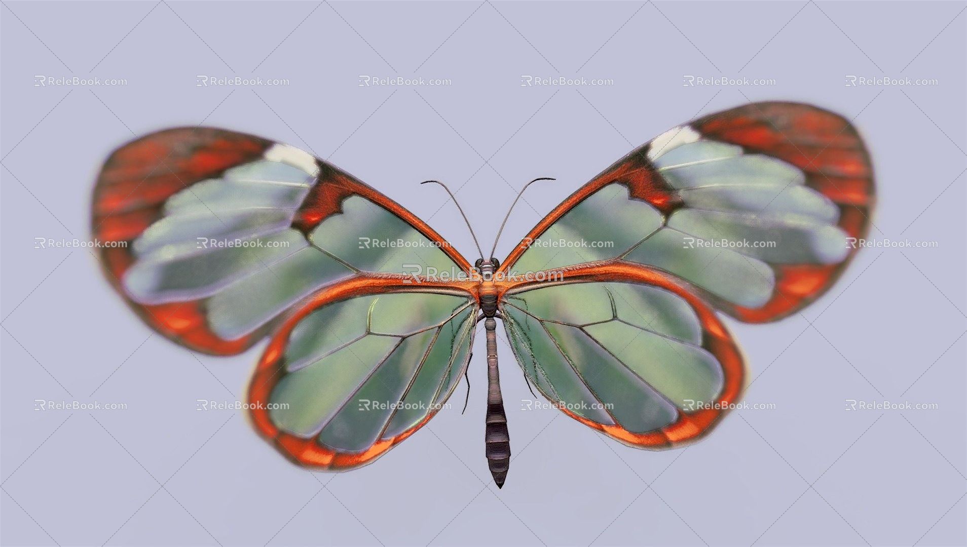 Modern Butterfly 3d model