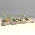 Potted Bonsai Succulent Arrangement With Cacti Small Pebbles And Rectangular Stone Planter 3d model
