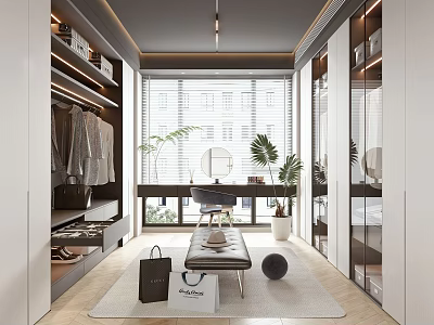 Modern Walk-in Closet Interior Design With Open Cabinets Mirror Bench Plants And Window 3d model