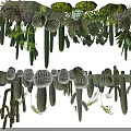 Different Types of Succulents and Cacti with Green Leaves in Natural Arrangement